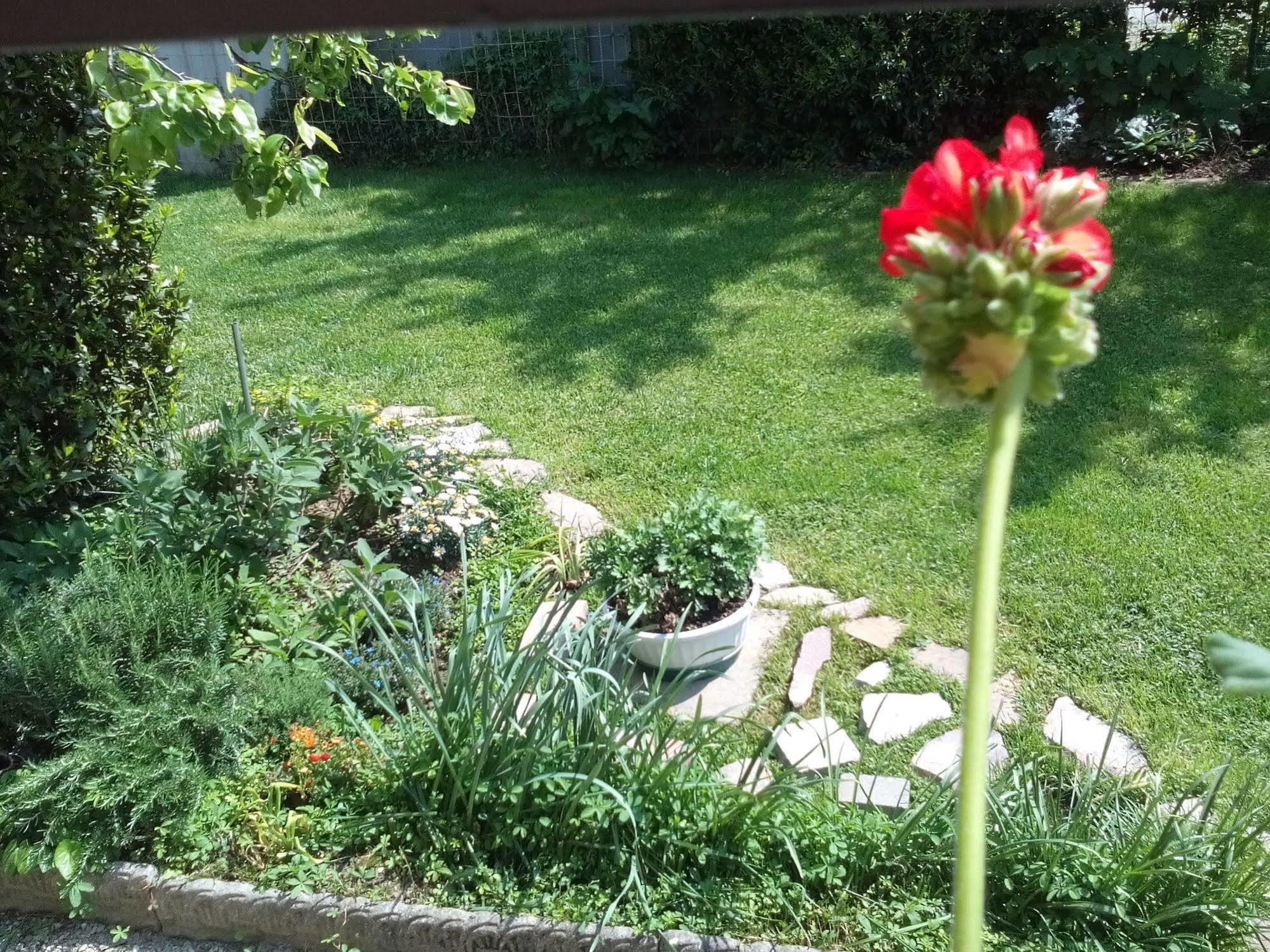 Casa Emanuela Piazzola sul Brenta Exterior foto